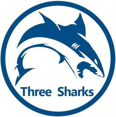 Dongguan Sansha Abrasives Co., Ltd.